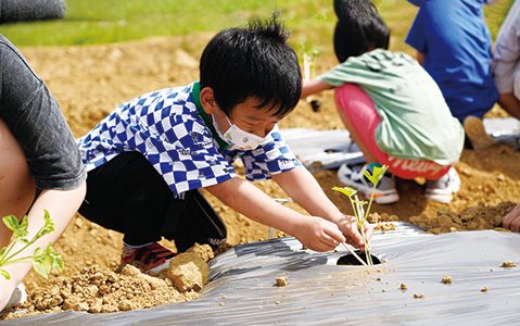 圖9-54◆ 溪海休閒農業園區也積極推動食農教育，圖為小朋友正在種植西瓜苗（圖片來源：桃園市大園區公所）